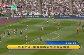 包含切尔西客场战平诺里奇，积分榜跌落的词条