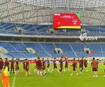 印度41大胜泰国